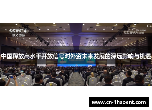 中国释放高水平开放信号对外资未来发展的深远影响与机遇