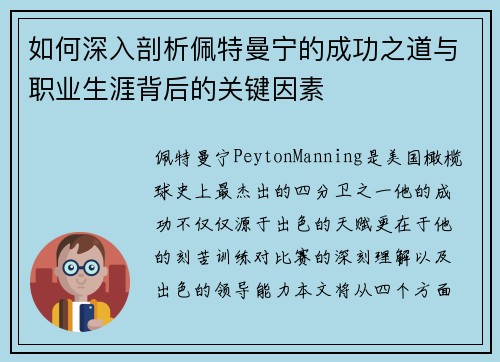 如何深入剖析佩特曼宁的成功之道与职业生涯背后的关键因素