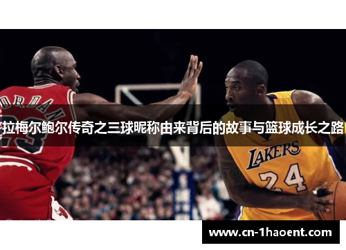 拉梅尔鲍尔传奇之三球昵称由来背后的故事与篮球成长之路