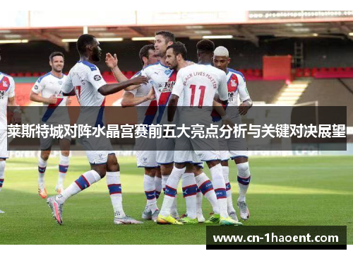莱斯特城对阵水晶宫赛前五大亮点分析与关键对决展望